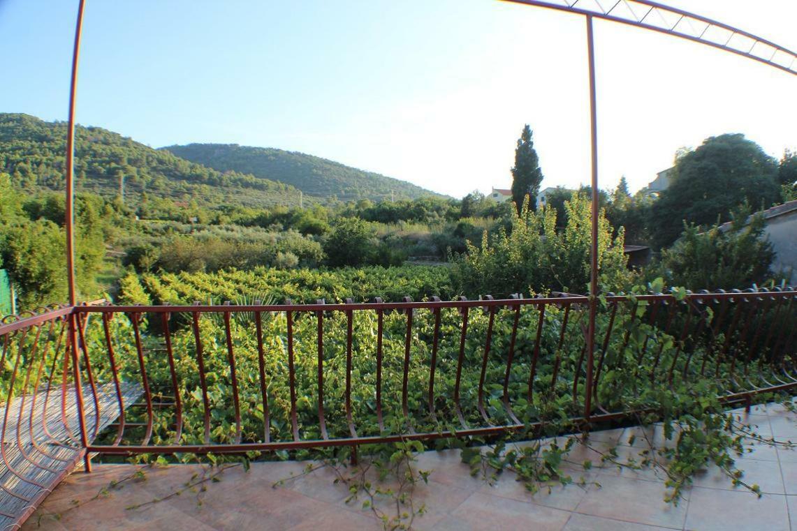 Apartment Lupi